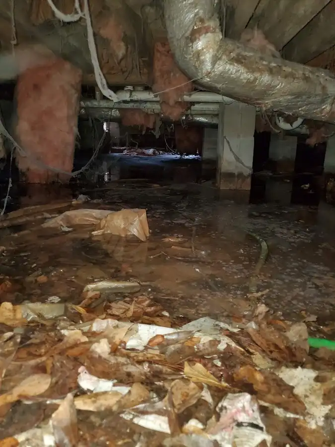 Crawl space flood assessment for Leak Detection & Repair in Walker